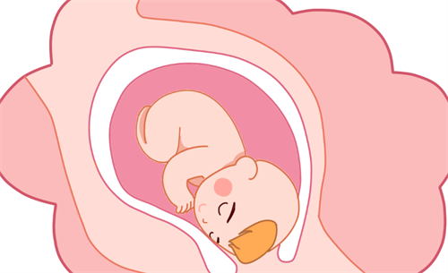 孕21.png