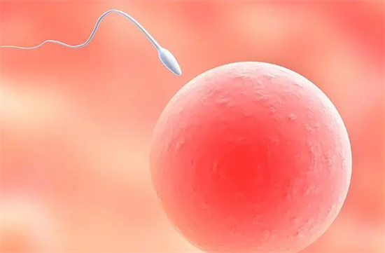 13.png