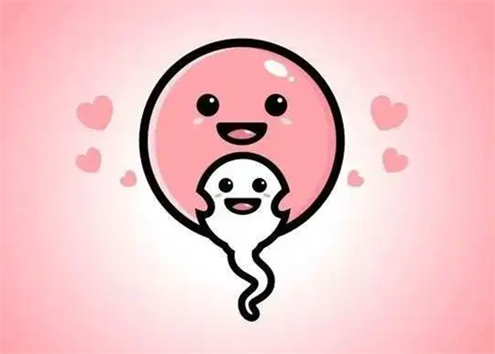 29.png