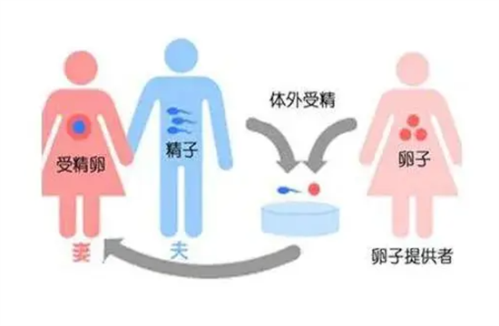 1698476364511085.png 5.png