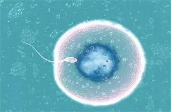 11.png