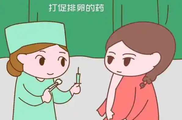 女性40岁试管促排的适用方案介绍！试管促排卵多少个正常
