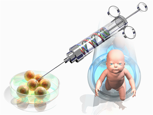 郑大一附院供精人授收费标准2025！附郑大一附院供精人授的流程