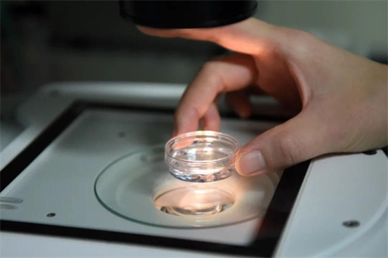 试管取卵后来曲唑片的正确吃法！吃来曲唑片多久才能胚胎移植