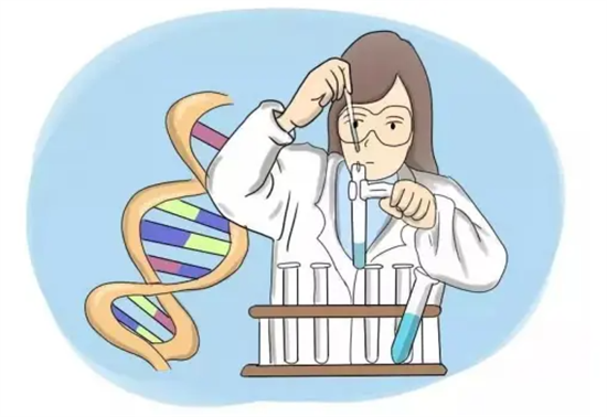 囊胚做三代试管基因筛查的时间！附影响三代试管基因筛查时间因素