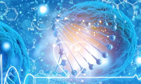 夫妻做试管婴儿要满足哪些条件？2025年开展试管婴儿的必备条件一览