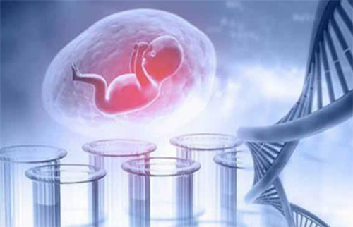 试管胚胎培育周期结束后的多久移植？附胚胎移植前的注意事项