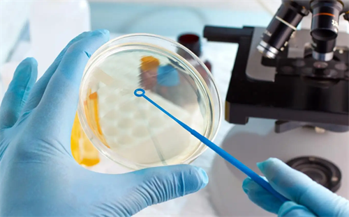 试管婴儿胚胎移植阶段失败有哪些征兆？试管婴儿移殖不成功该怎么办