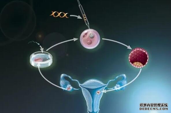 杭州供卵试管资讯 在杭州做试管婴儿可以考虑哪些医院 ‘怎么看懂b超单男女’