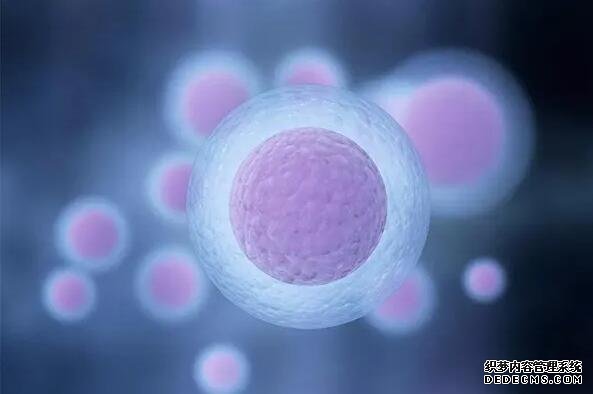 武汉专业做代怀 武汉同济做试管要多久？能做第三代手术吗 ‘孕妇坐着肚型扁扁的是女孩子吗?’
