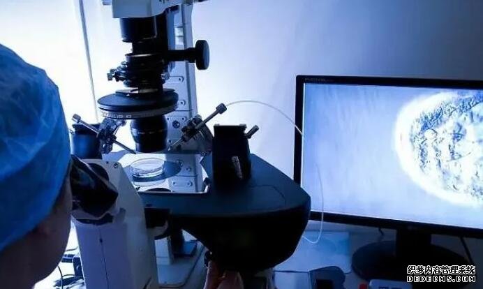 武汉三代试管医院排名 武汉试管婴儿医院 ‘代孕症状一样，男孩女孩都一样吗