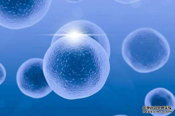 南京生殖中心医院在哪 南京市妇幼保健院做供精试管流程包括哪些步骤？ ‘13周nt男孩女孩区别’