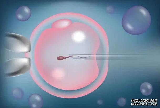 o0Vrv_山东大学齐鲁医院做试管婴儿都需要养囊吗？