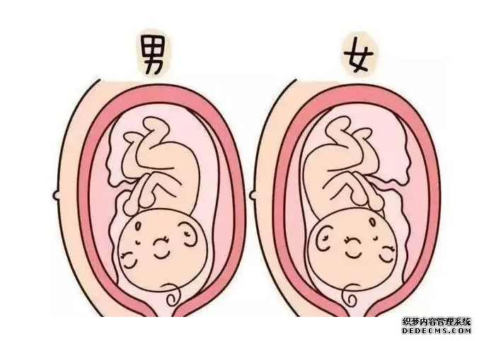 西安想捐卵 西安试管医院生殖医学中心推荐 ‘营口伊人26周四维看男女准么’