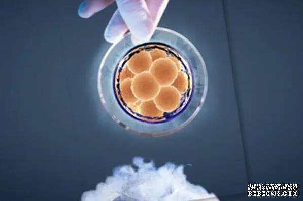 40岁以上女性卵巢功能衰退不可恢复，7个妙招可延缓早衰-短方案促排卵泡不均