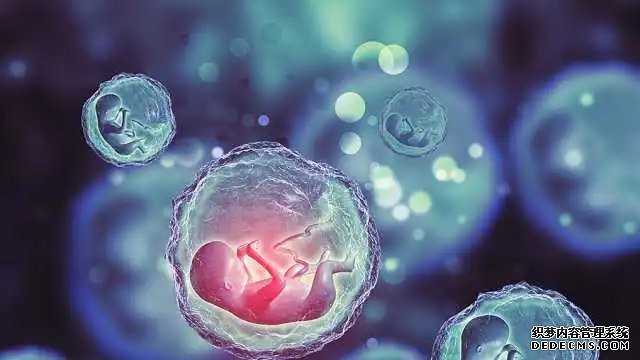 厦门找个人代孕 厦门174人工授精多少钱？要检查什么内容？ ‘四维数据能看出来男女吗’