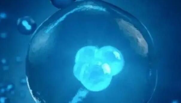 上海一妇婴试管成功率怎么样？要注意什么？