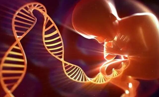 杭州试管代怀哪家强 杭州邵逸夫三代试管婴儿2022年成功率是多少? ‘b超形状看男女’