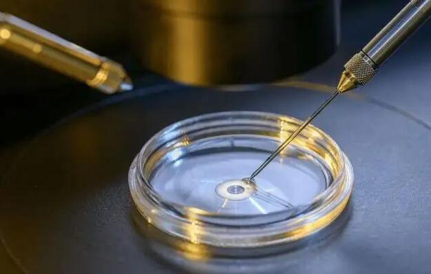 宫腔粘连做泰国试管成功率多大？