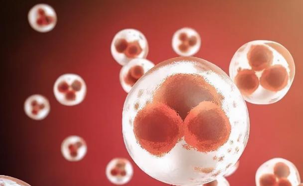 无锡借卵试管过程 锡试管婴儿各大医院费用汇总，3招省钱技巧分享 ‘四维彩超通过胎心率可以看出男女吗’