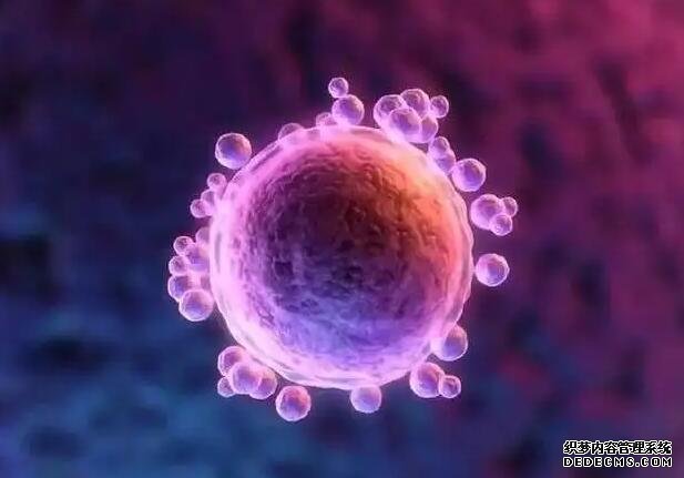 上海高龄供卵试管移植方案 2022上?？梢远陈训囊皆河心男?？ ‘四维数据能看出来男女吗’