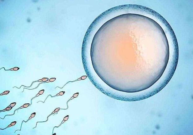 福州想找助孕妈妈 福州做三代试管大概费用?2022试管婴儿价格详细 ‘四个月彩超图分辨男女’