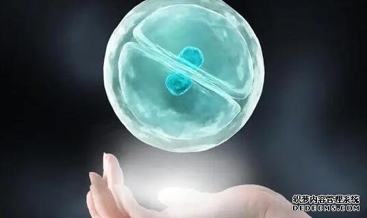 浙江省妇保有供卵吗 杭州供卵试管费用多少，2022浙江供卵试管费用预估 ‘孕17周b超男宝小鸡’