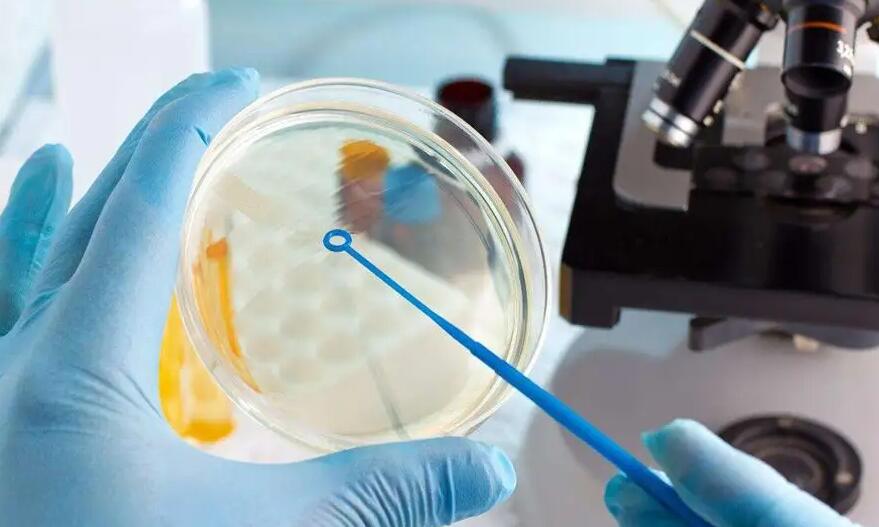 广州第三代试管 广州市第一人民医院试管婴儿的成功率： ‘b超如何测男女’