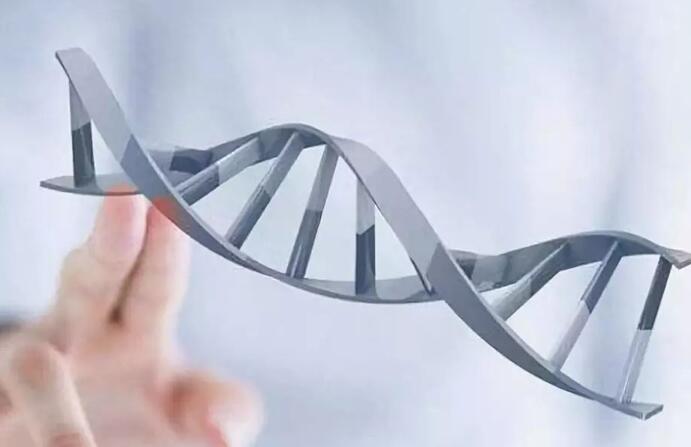 宁波做试管好吗 2023宁波试管婴儿医院排名，附试管成功率、费用参考 ‘营口伊人26周四维看男女准么’