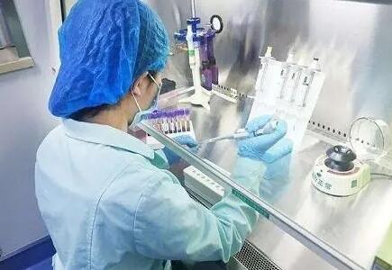 合肥捐卵群 合肥105试管成功案例多么？影响试管成功的因素有哪些？ ‘b超单上椭圆是男是女’