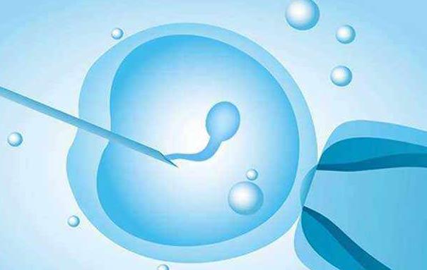 绍兴借卵试管过程 2022绍兴市妇幼保健院供卵试管费用: ‘代孕七个月彩超男女区别图’