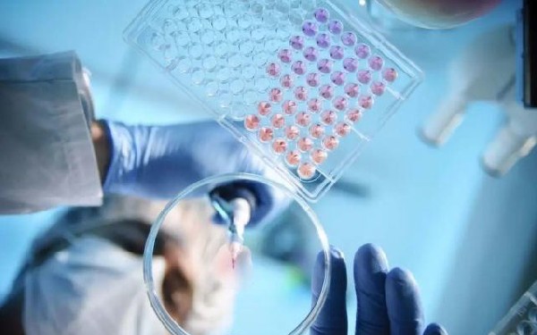 呼和浩特代生好吗 呼和浩特供卵试管费用明细 ‘孕囊两位数相除是1.5是男孩女孩’