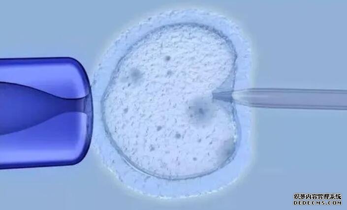 重庆代孕男孩费用 重庆公立医院哪几家做试管成功率比较好？ ‘3.6×3.7×6.9孕囊男女’