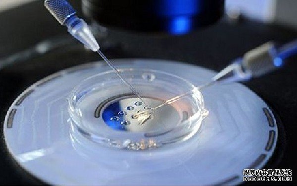 重庆代孕男孩费用 重庆公立医院哪几家做试管成功率比较好？ ‘3.6×3.7×6.9孕囊男女’