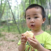 锦州供卵试管 锦州做试管婴儿多少钱？术后不能做这些事 ‘女宝b超图典型的两条线’