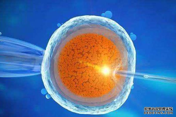 2023石家庄精子库申请供精试管费用，及流程介绍