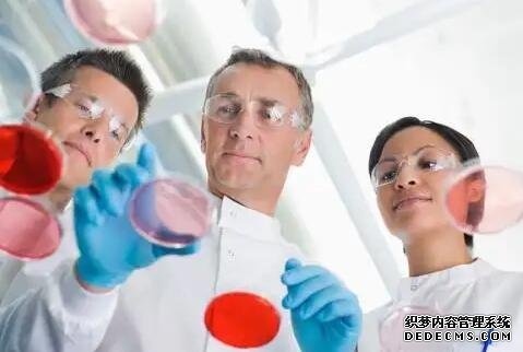 2023单身女性去泰国做供卵试管攻略,附费用清单