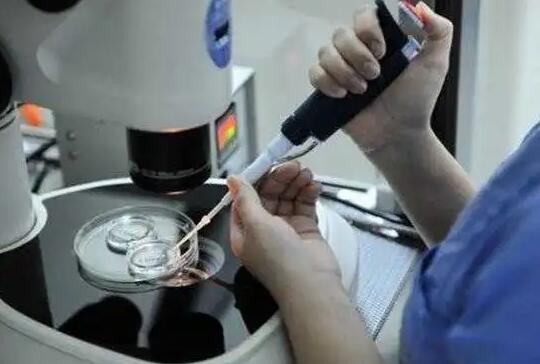 扬州供卵试管 扬州苏北医院试管婴儿费用试管婴儿的钱花在哪儿？ ‘孕10周b超可以看男女吗’