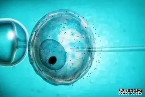 2023哈尔滨正规民营捐卵机构火热更新！内附机构选择指南