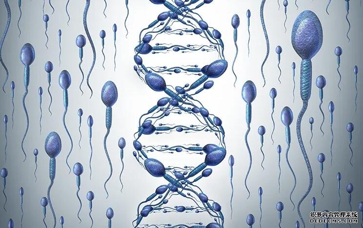 无锡代孕机构合法吗 无锡市第四人民医院在哪里?能不能做试管婴儿? ‘营口伊