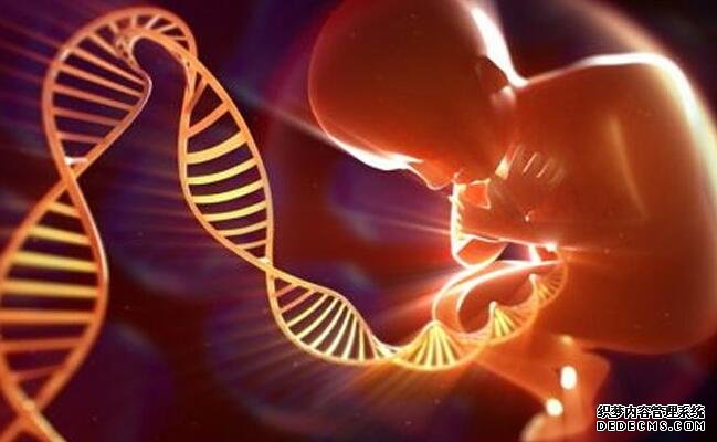 育龄期女性：多囊卵巢综合征，为什么会导致不孕？