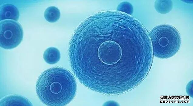 多囊卵巢综合症中医能治好吗-和平医院试管婴儿成功率