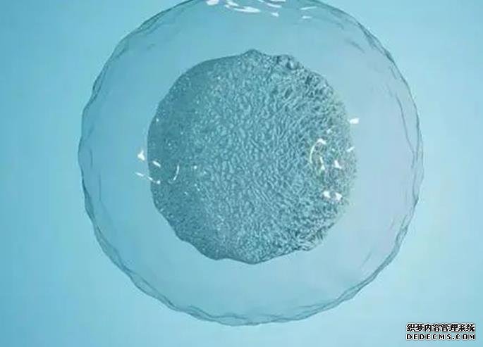 多囊卵巢综合症中医能治好吗-和平医院试管婴儿成功率