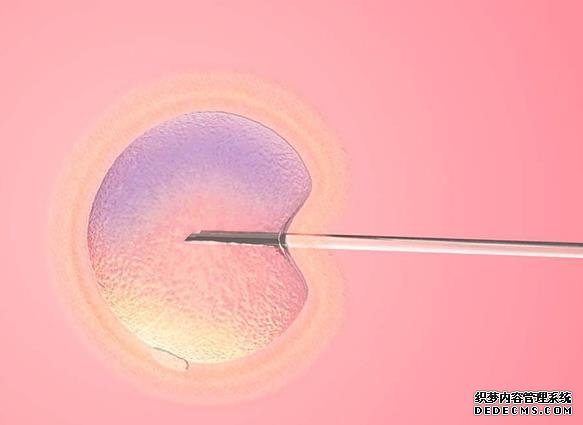 成都做助孕的费用多少 成都西囡医院做试管婴儿成功率如何？附西囡医院试管费用明细！ ‘nt值男宝女宝’