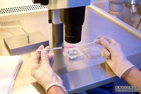 深圳??微信 深圳三代试管包生男孩价格多少？ ‘八个月做b超看到小鸡了生下来是女’
