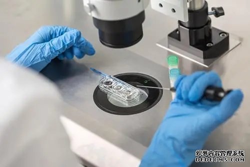 北京借卵途径 北京三医院试管费用是多少？(北京三医院试管费用) ‘四维单上以F开头为女以M开头为男准吗？’