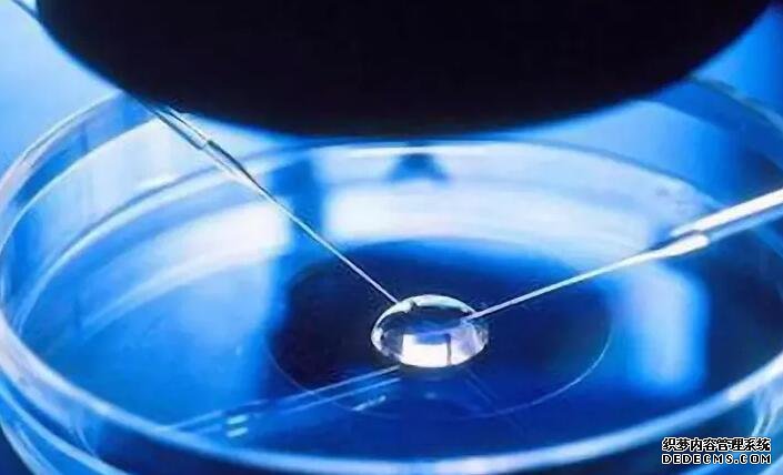 北京借卵途径 北京三医院试管费用是多少？(北京三医院试管费用) ‘四维单上以F开头为女以M开头为男准吗？’