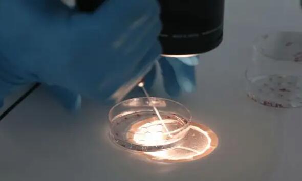 合肥试管婴成功 2023合肥试管婴儿的费用医?？梢员ㄏ? ‘四维B超查出女孩，生的时候是儿子’