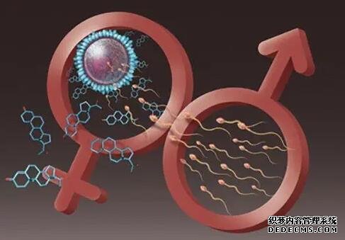 2022广州妇幼保健院包生男孩价格多少钱？