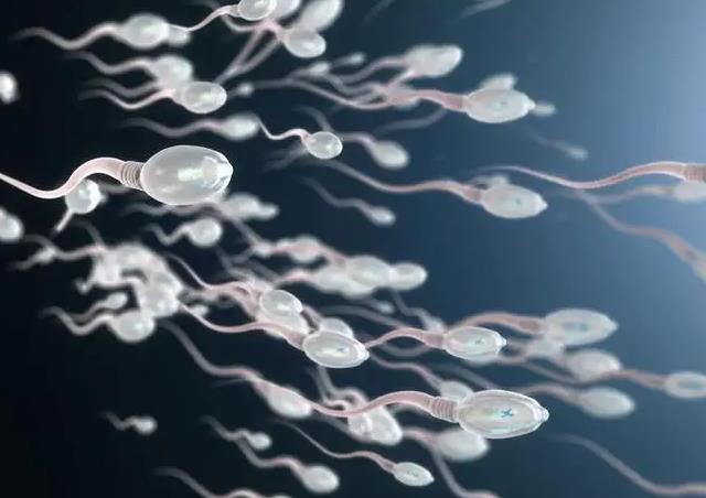 宁波做试管好吗 宁波市哪家医院做试管婴儿助孕技术好? ‘b超如何测男女’